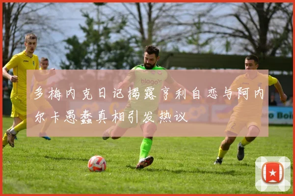 多梅内克日记揭露亨利自恋与阿内尔卡愚蠢真相引发热议